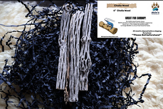 4 Pieces of 6" Cholla Wood